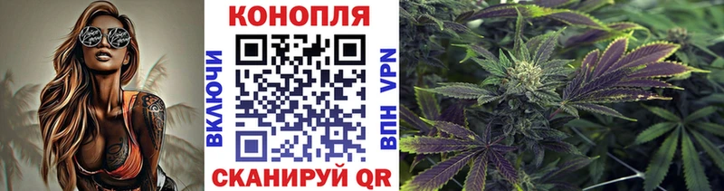 Наркошоп купить Гашиш  Псилоцибиновые грибы  МЕФ  Марихуана  COCAIN  APVP  Острогожск