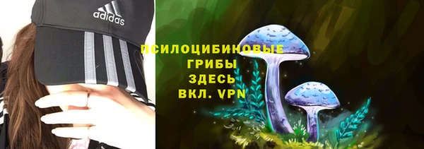 прущая мука Арсеньев