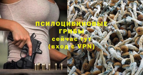кокс Армянск