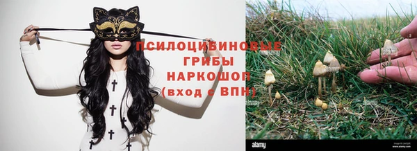 кокс Армянск