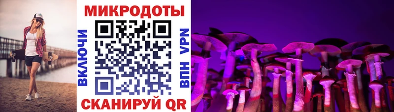 Купить где  Острогожск  Галлюциногенные грибы мицелий 